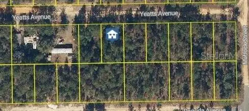 111 Yeatts Ave, FL