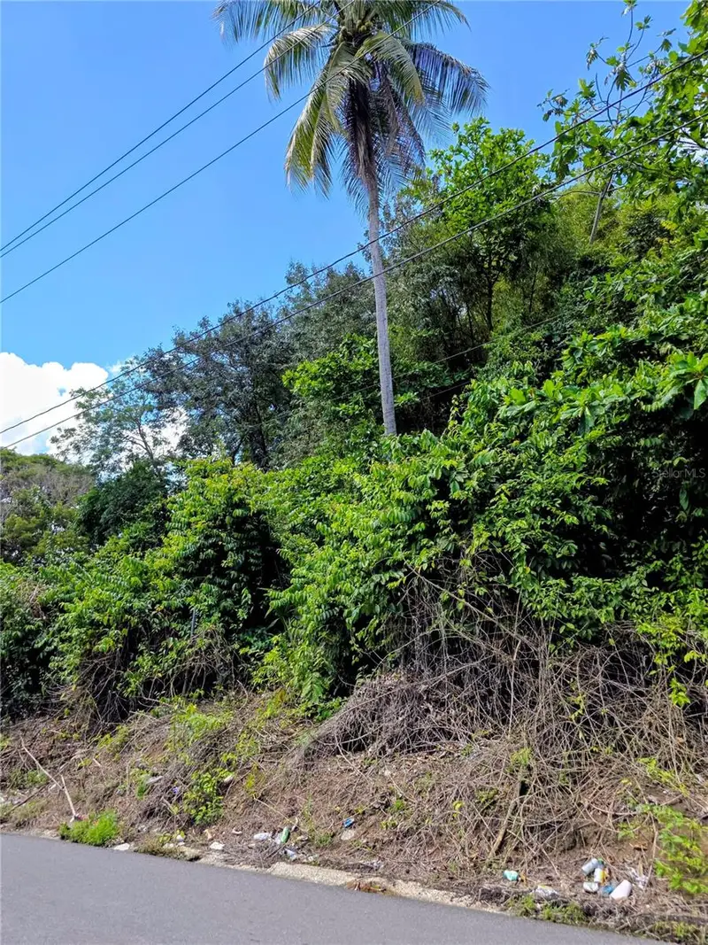 Bo Quebrada Cruz, PR