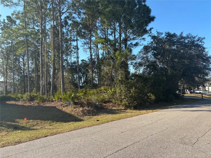 6 Flint Hill Ln, FL