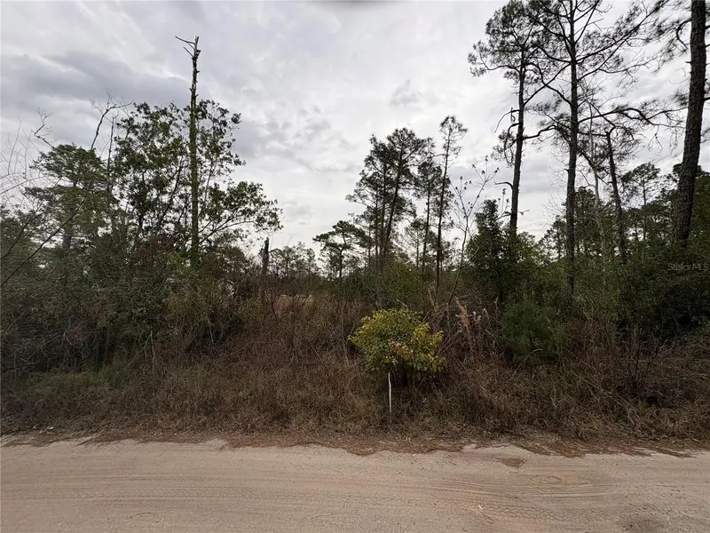 Georgia St, FL