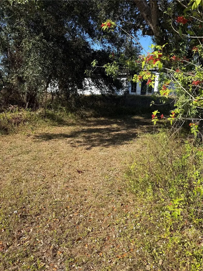 205 Gilbert Ave N, FL