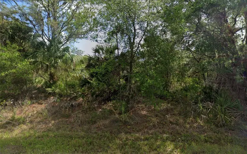 1513 Candy Ln, FL