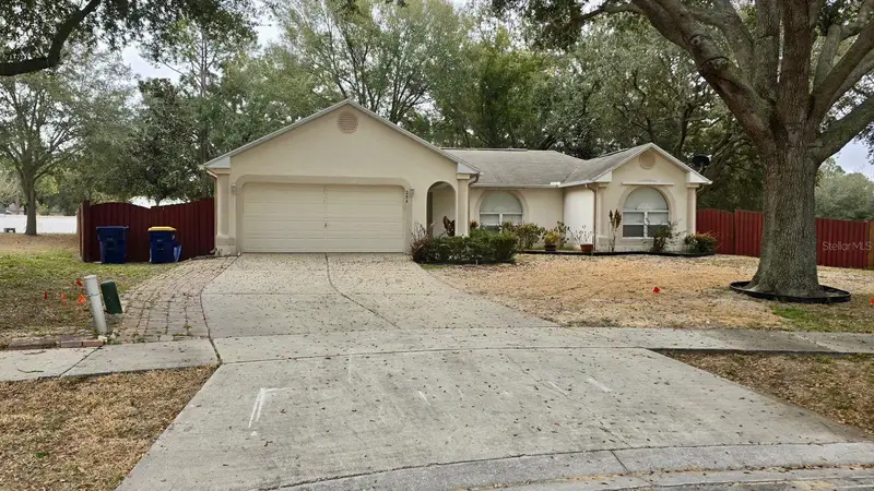 204 Lace Bark Ct, FL