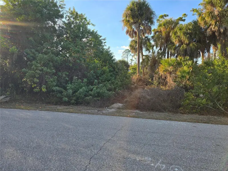 Athena Ter, FL
