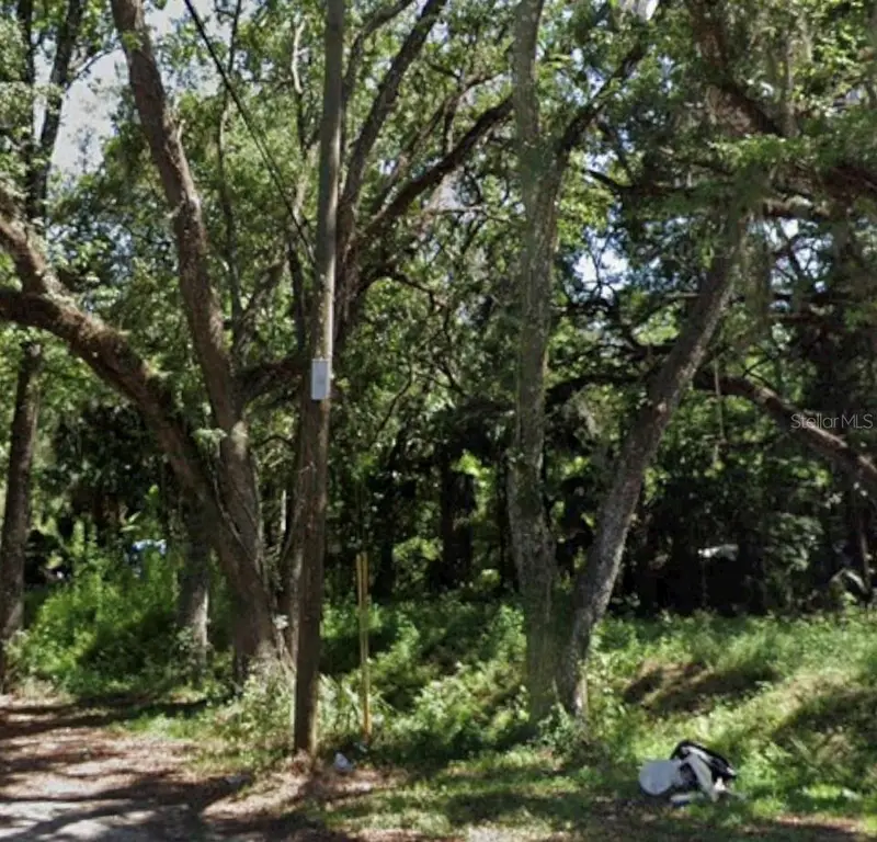 Tbd Twigg St, FL