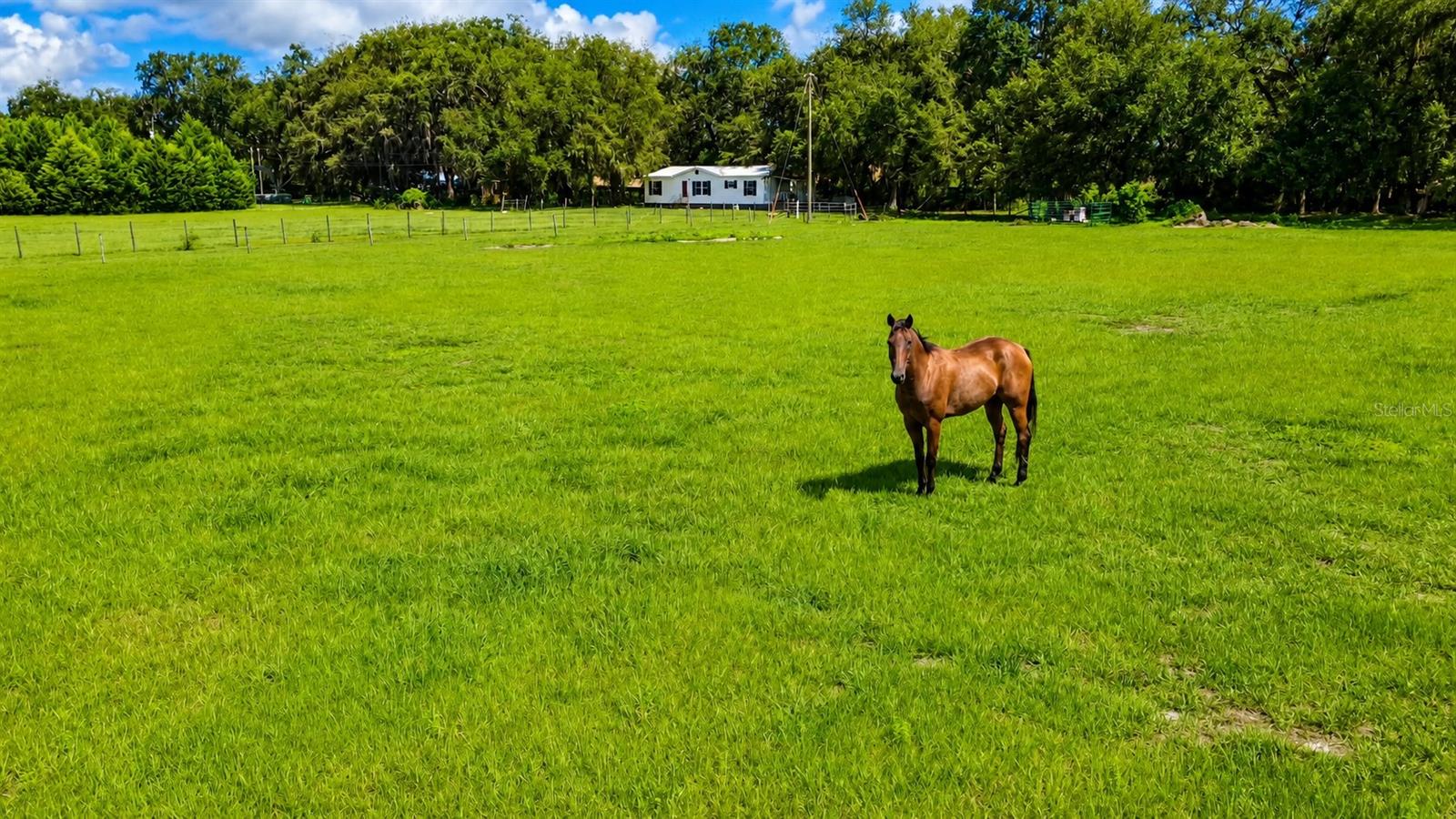 14240 Sr 471, FL