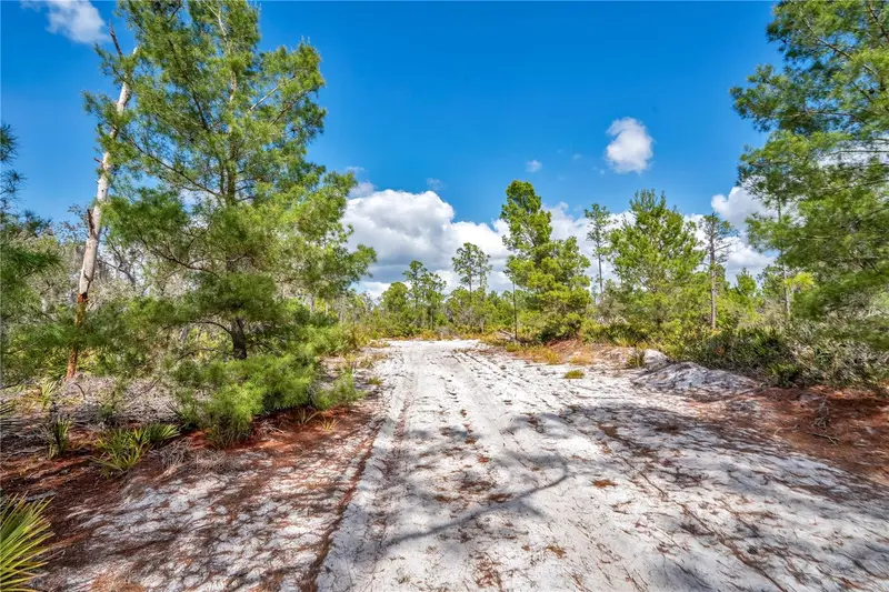 4000 Lomonico Rd, FL