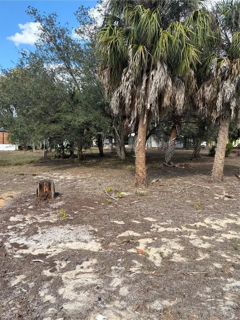 0 Fishman Ave, FL