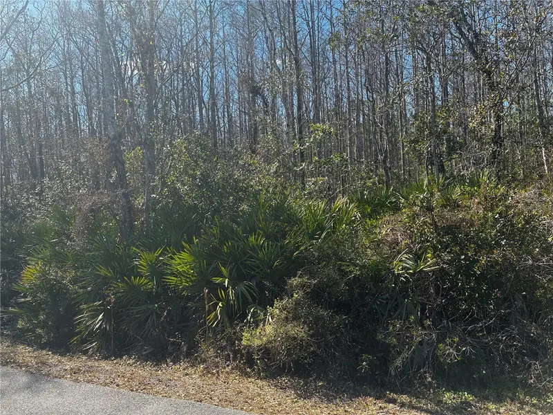 1228 Murdock Blvd, FL