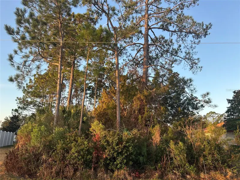 4 White Hall Dr, FL