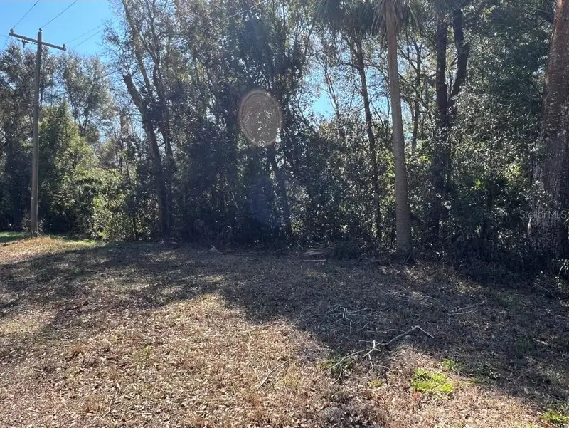 Palacky St, FL