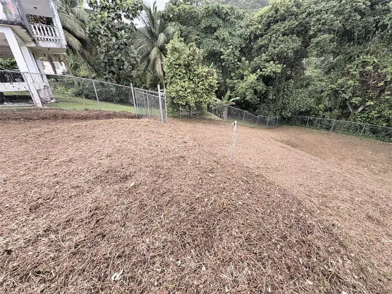 Bo Pitahaya, PR