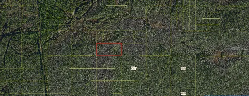 Holopaw Groves Rd, FL