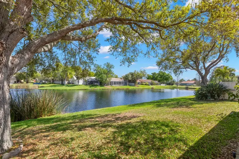 523 Padua Cir Ne, FL