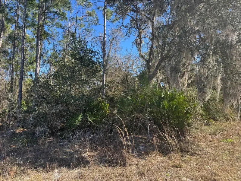 Grace Ave, FL