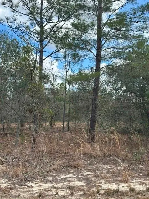 Ocala, FL