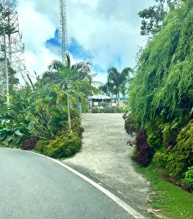 795 Bairoa, PR