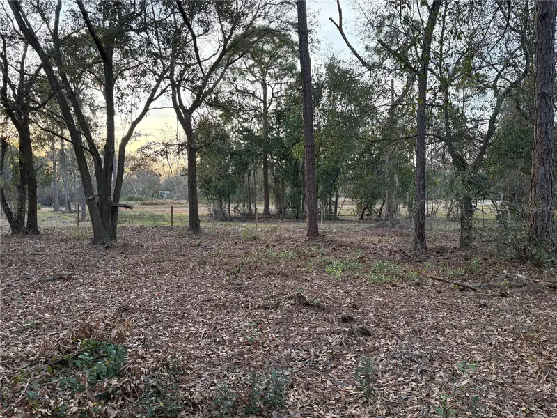 0 Alturas Babson Park Cutoff Rd #Lot 78, FL