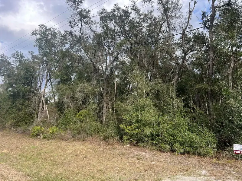 7466 Treiman Blvd, FL