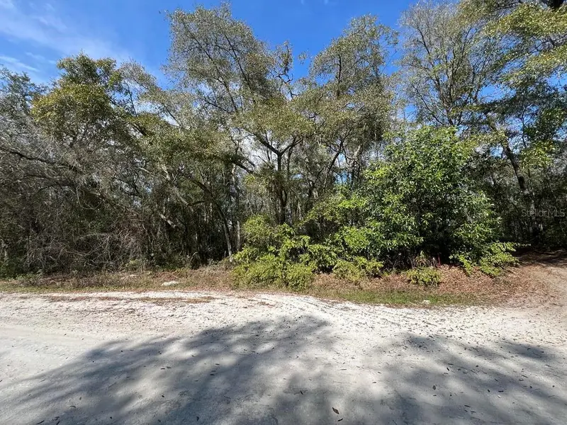 34085 Arrowrock St, FL