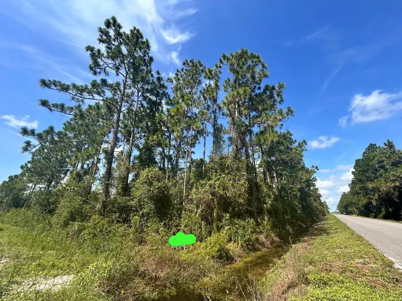 966 Challenger St Nw, FL