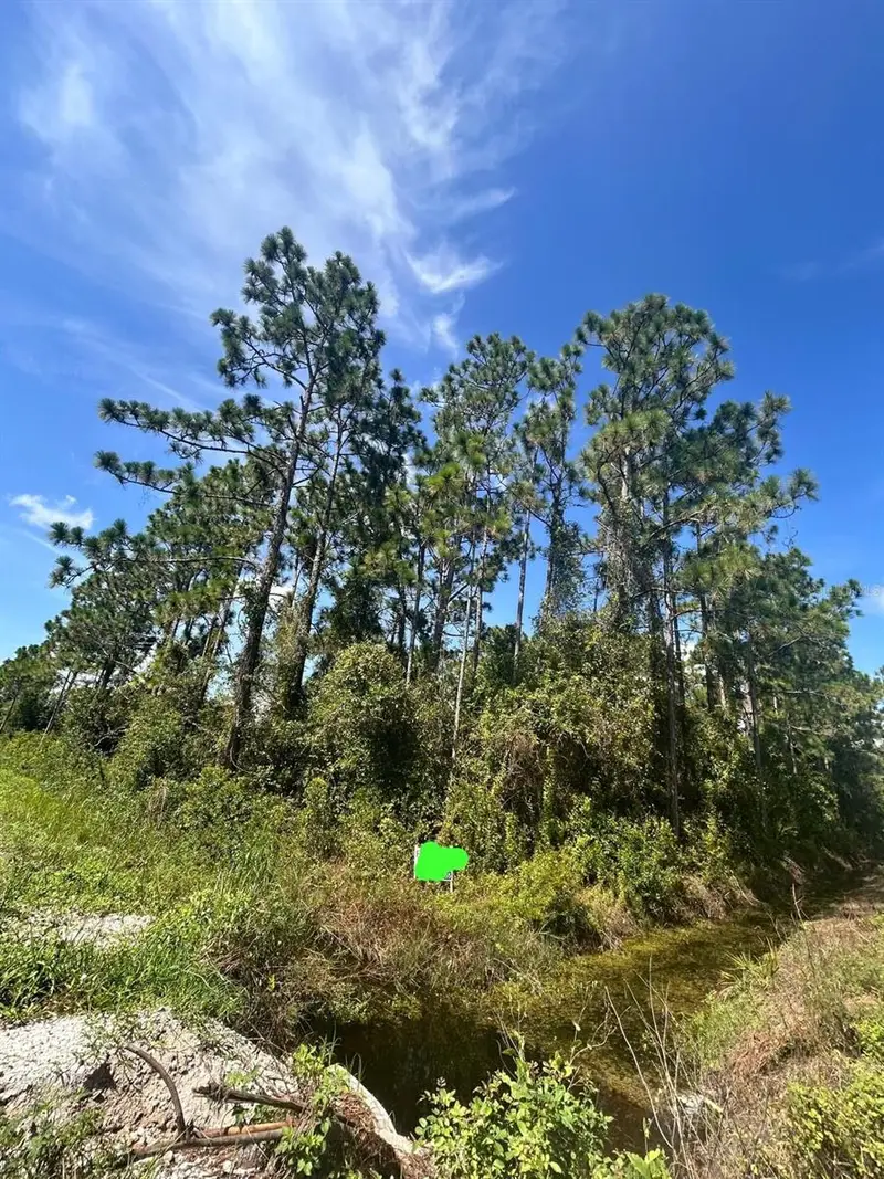966 Challenger St Nw, FL