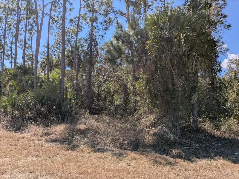 Bannock Cir, FL