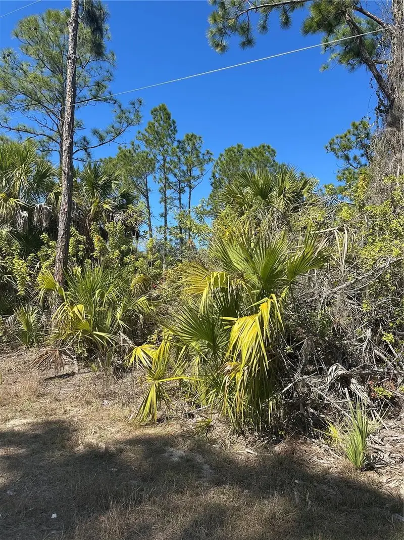 Henning St, FL