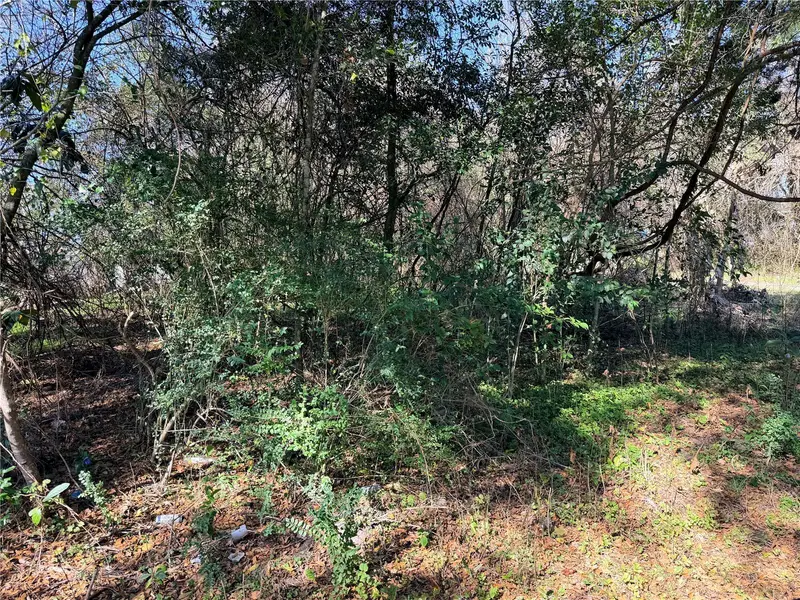 Tbd Nw 151st Ave, FL