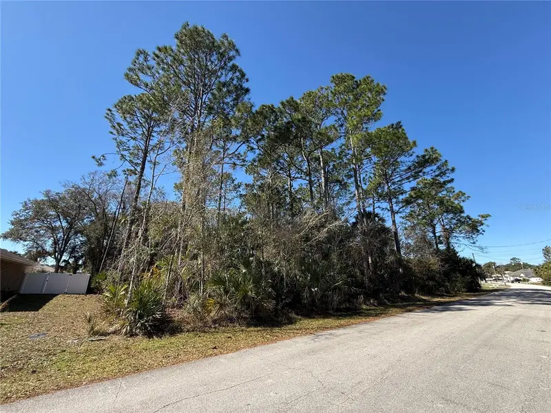 28 Phoenix Ln, FL