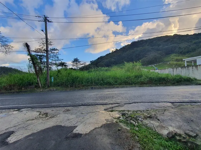 Carr 191, PR