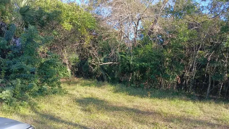 Avenue O, FL