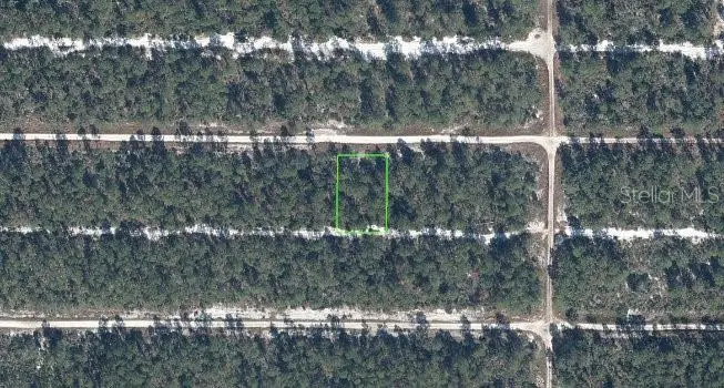 613 Parakeet Ave, FL