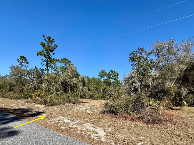 Lot 11 Poinciana St, FL