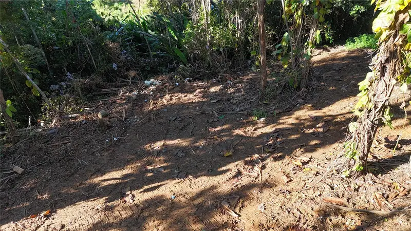 186 Camino Los Reyes, PR