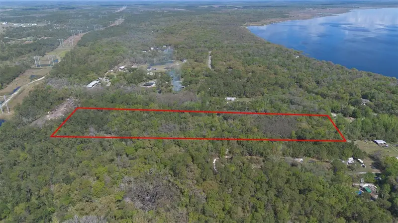 Jungle Rd, FL