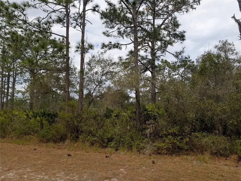 416 Bougainville Dr, FL