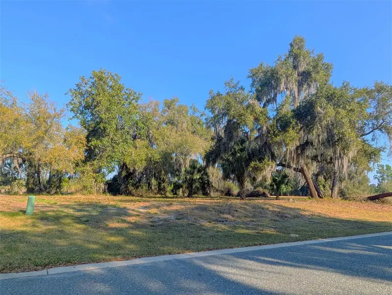 446 Long And Winding Rd, FL