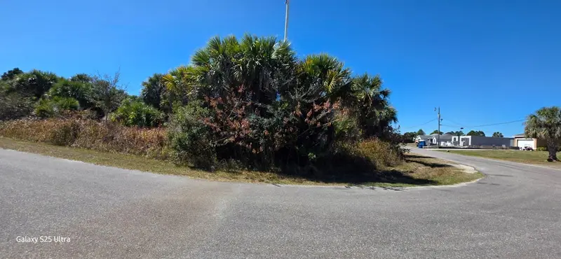 Ferdon Ave Sw, FL