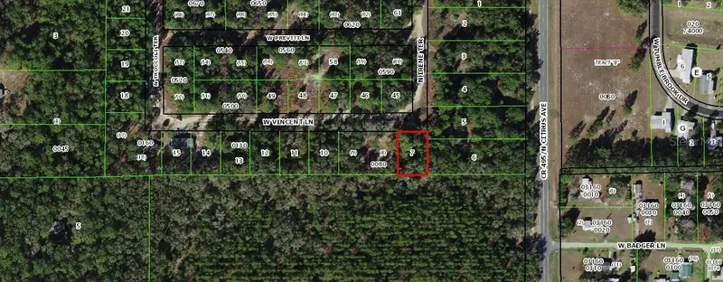 8100 W Vincent Ln, FL