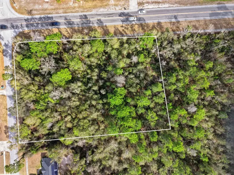 0 Lake Helen Osteen Rd, FL