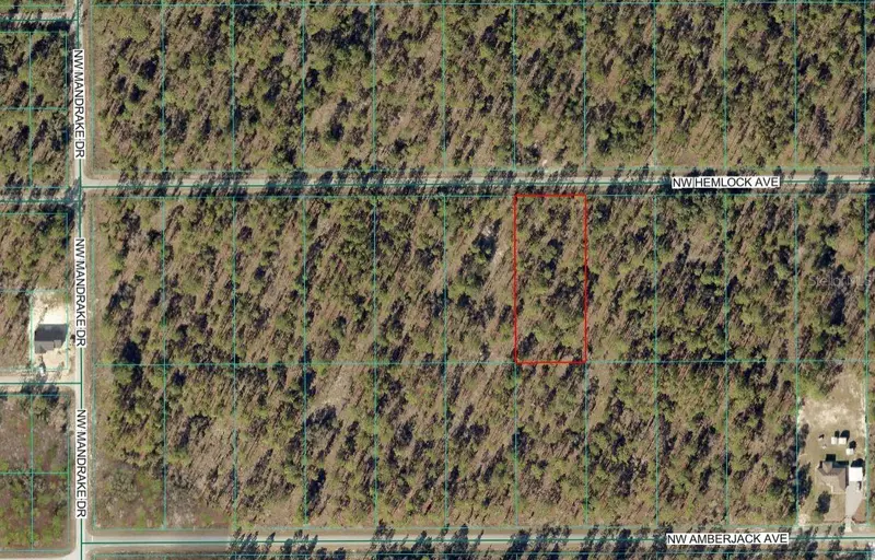 Lot 7 Nw Hemlock Ave, FL