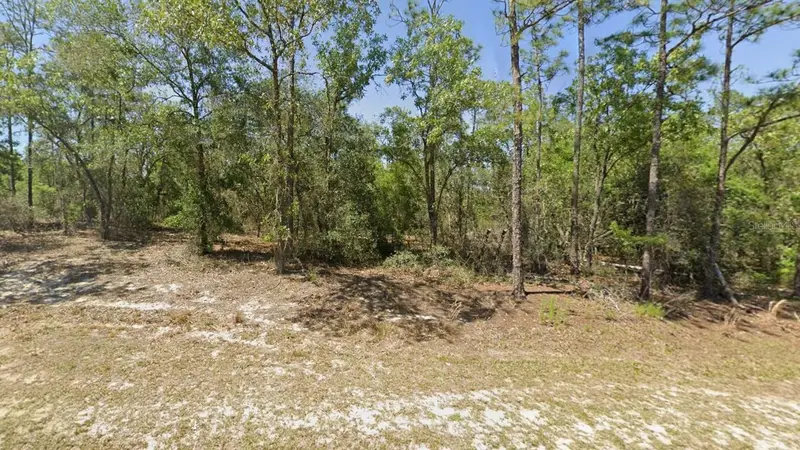 00 Sw Rainbow Lakes Blvd, FL