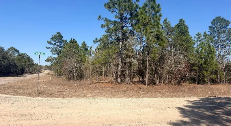 6501 N Winlock Ter, FL