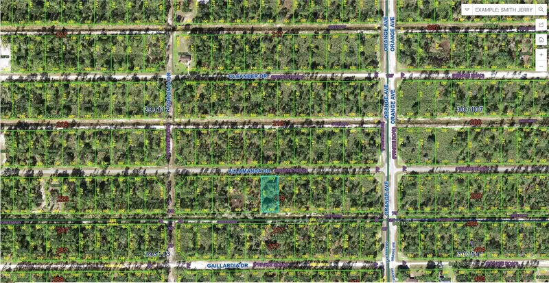 813 Allamanda Dr, FL