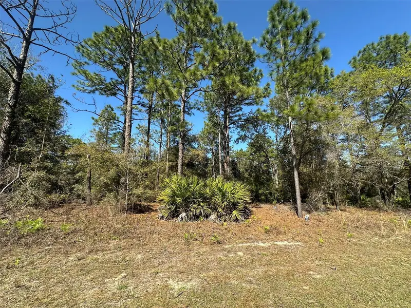 833 W Champlain Ln, FL