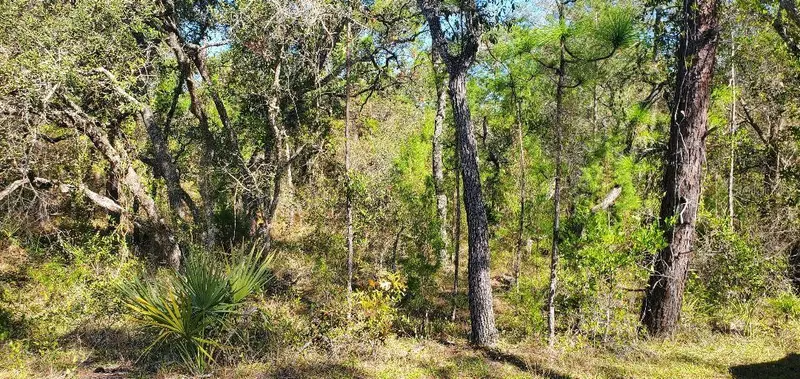Lot 56 Michigan Ave, FL
