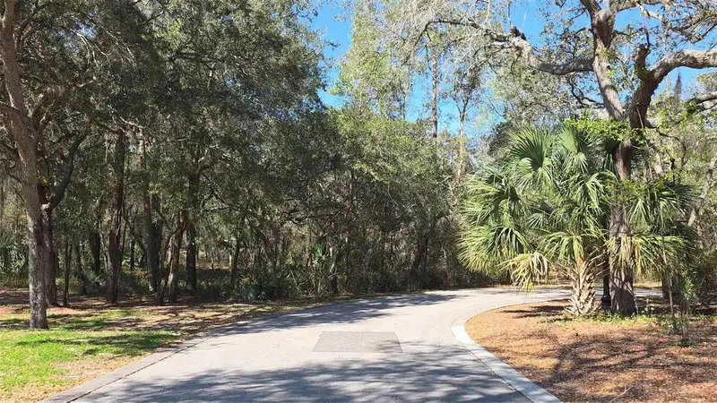 Lincoln Rd, FL