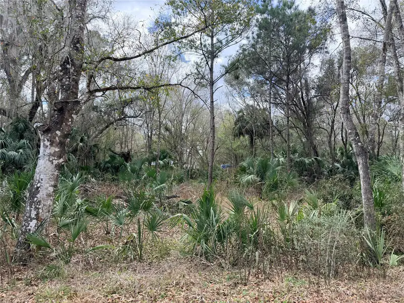 736 S Sickle Point, FL