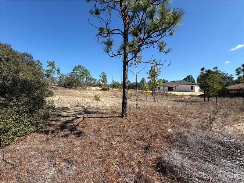 6725 N Killinger Ter, FL
